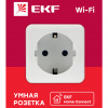 RCS-1-WF